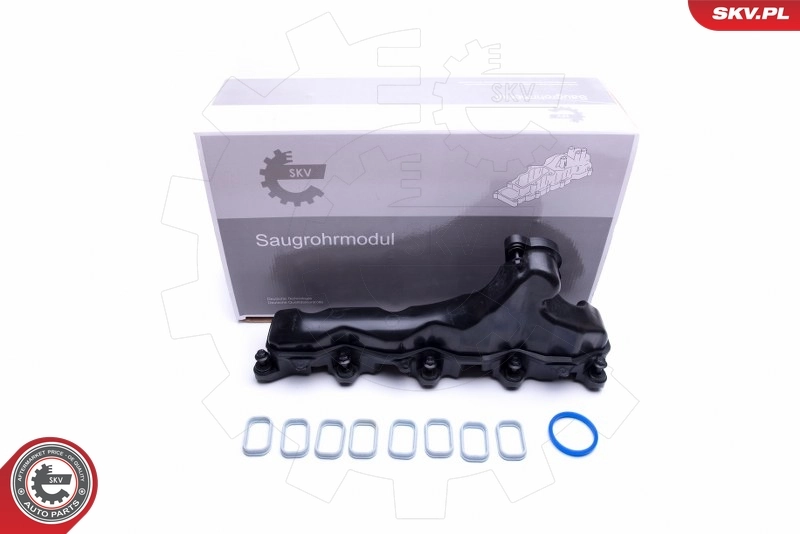 Intake Manifold Module